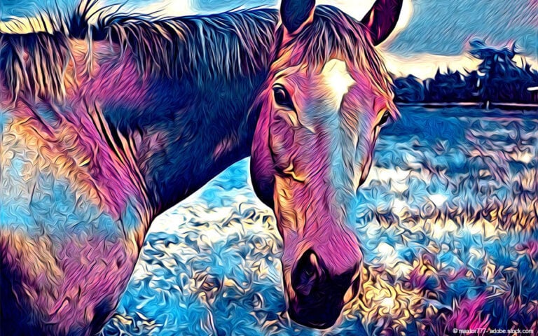 Die besten Ausmalbilder Pferde – kostenlose Malvorlagen