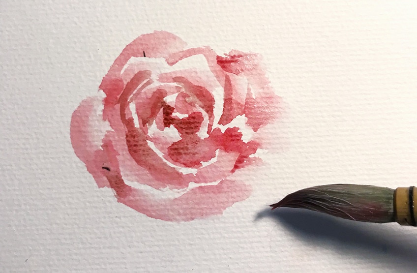rose aquarell