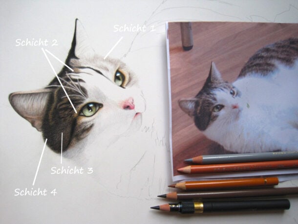Tiere zeichnen – Anleitung um verschiedene Tiere zu malen