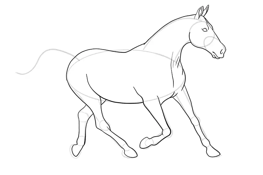 pferd zeichnen 11
