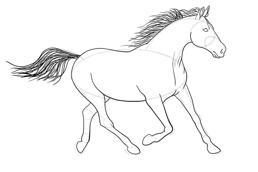 pferd zeichnen 12a