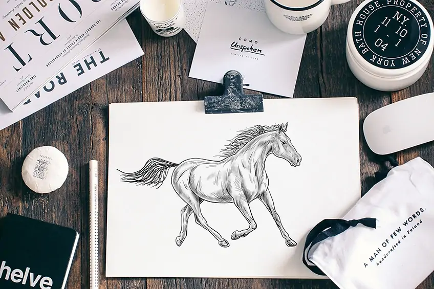 pferde zeichnen lernen
