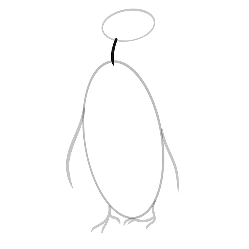 pinguin zeichnen schritt 05