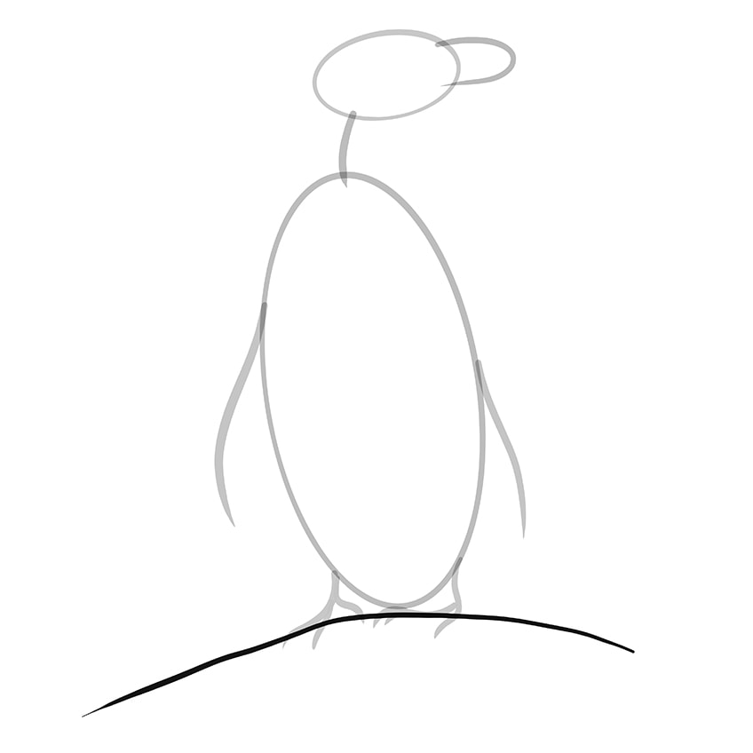 pinguin zeichnen schritt 07