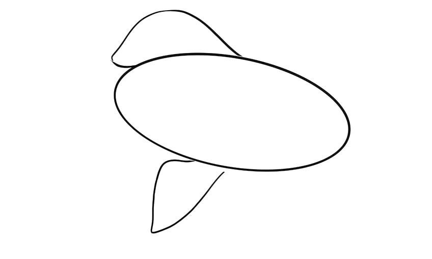goldfisch zeichnen 03