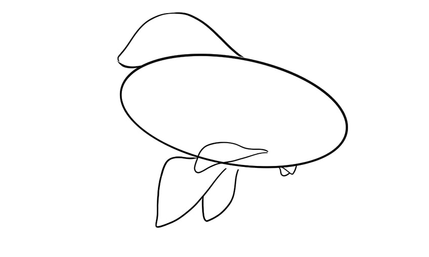 goldfisch zeichnen 05