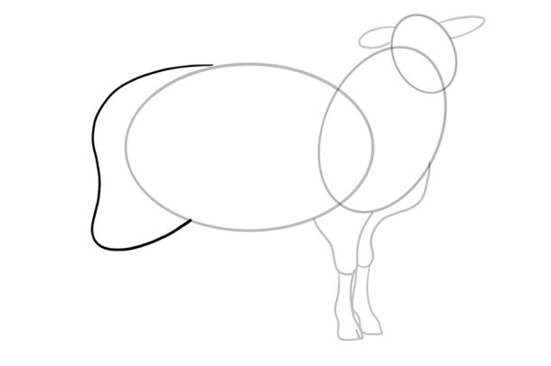 Schaf zeichnen - Einfache Anleitung zum Malen eines Schafs