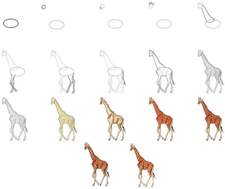  Giraffe zeichnen - Detaillierte Anleitung für deine Giraffen Zeichnung Bildidee 