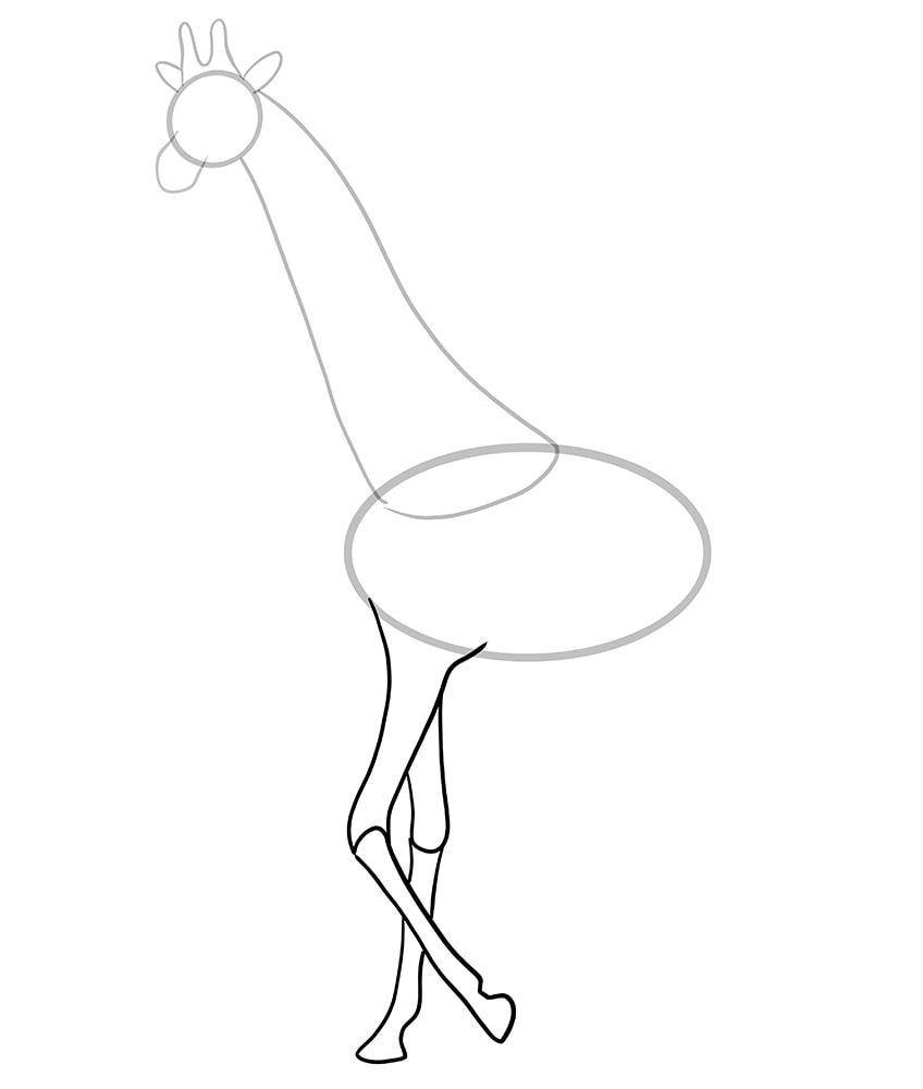 giraffe zeichnen 06