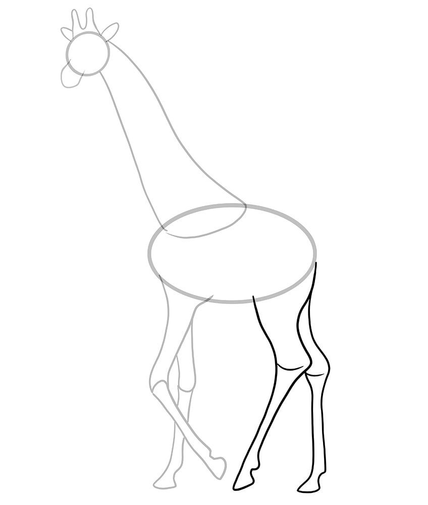 giraffe zeichnen 07