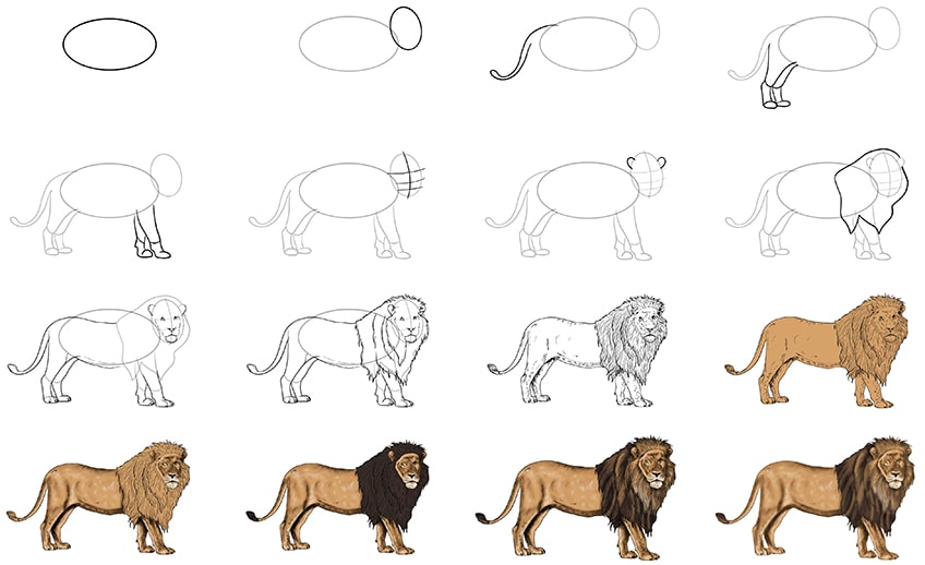 Löwe zeichnen leicht gemacht