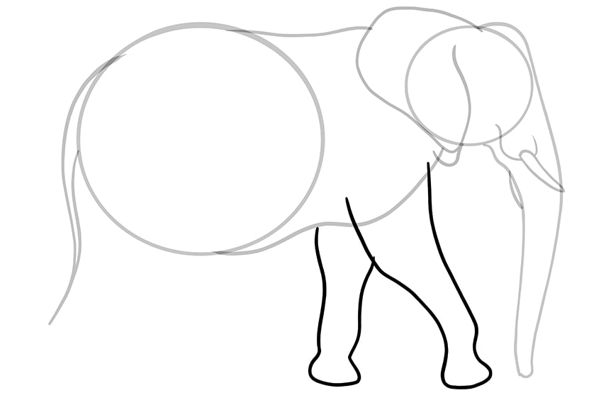 Elefant zeichnen 08