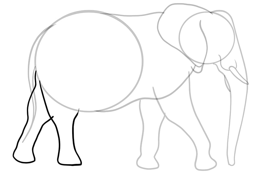 Elefant zeichnen 09