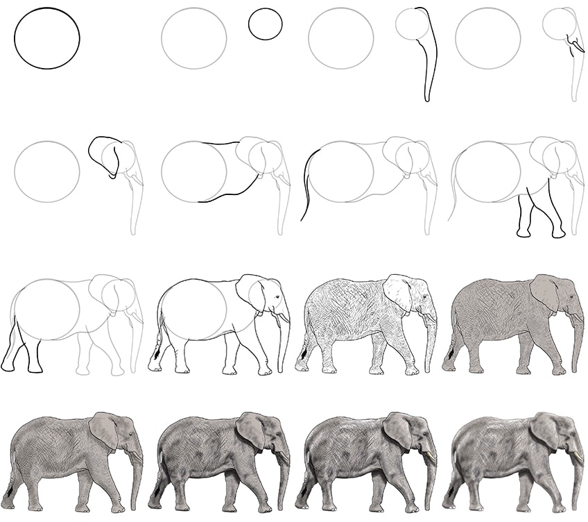Elefant zeichnen einfach