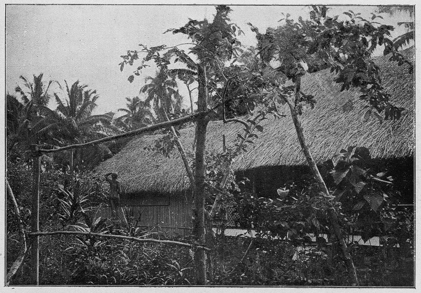 Gauguin Tahiti Huette