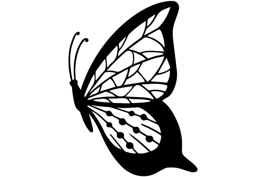 Schmetterling Ausmalbilder 04