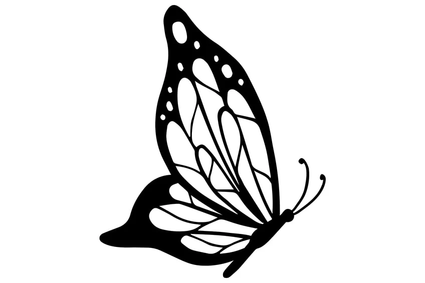 Schmetterling Ausmalbilder 10