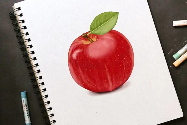 Apfel zeichnen – Lerne einen realistischen Apfel zu malen