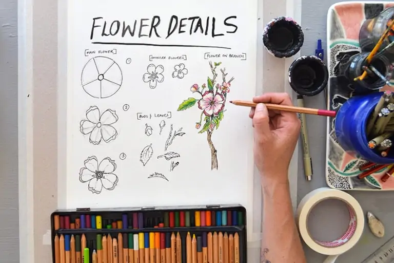 Blumen zeichnen – Einfache Anleitung für 8 Blumenarten