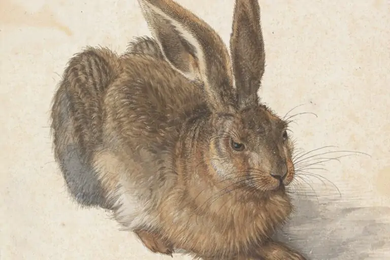 Feldhase von Albrecht Dürer – Analyse von Dürers Hasengemälde