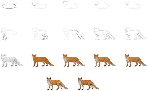  Fuchs zeichnen - Mit einfacher Schritt-für-Schritt Anleitung Motiv 