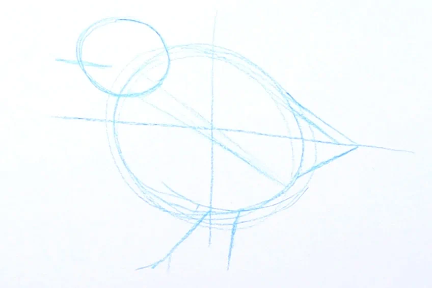 vogel zeichnen 06