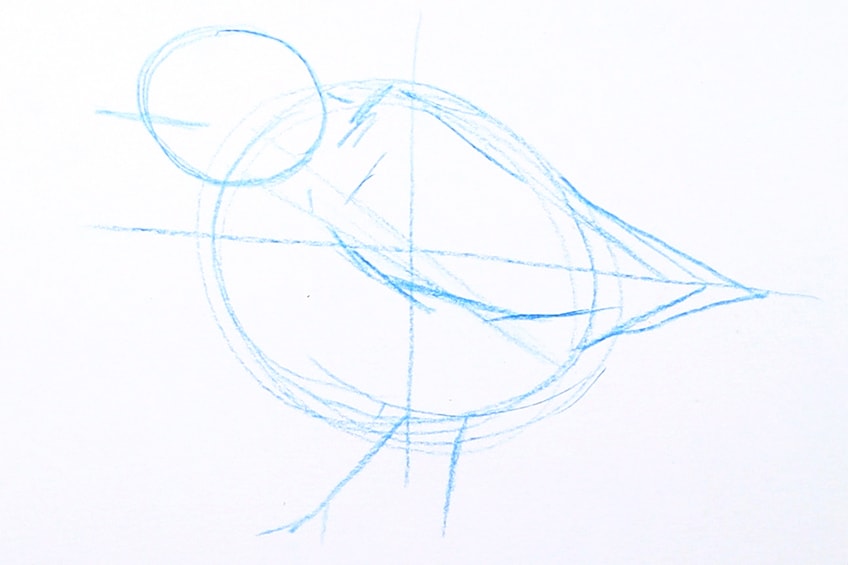 vogel zeichnen 07