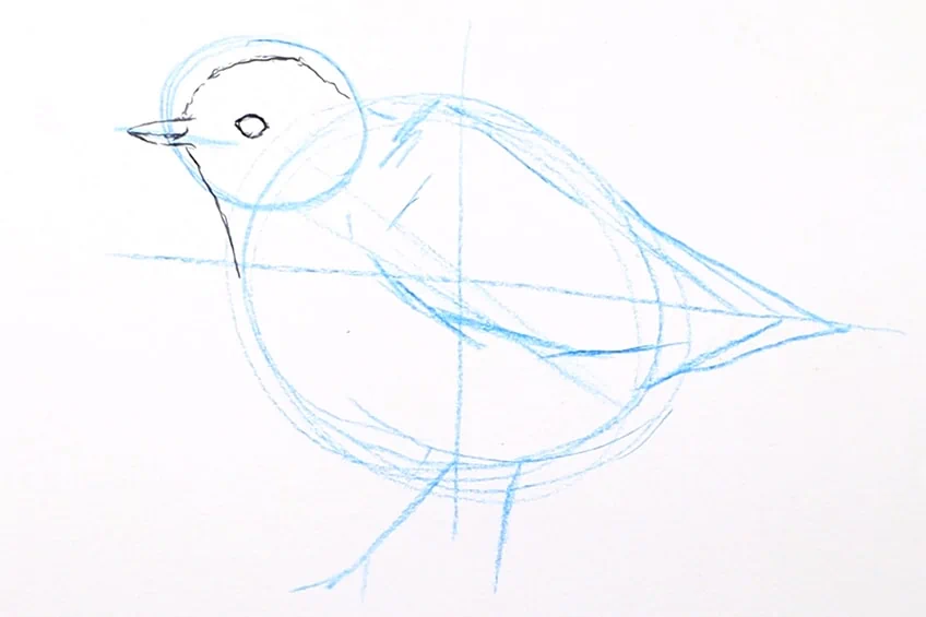 vogel zeichnen 08