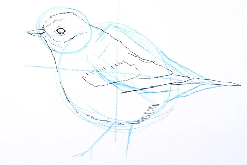 vogel zeichnen 10