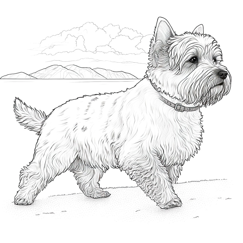 West Highland White Terrier ausmalbild