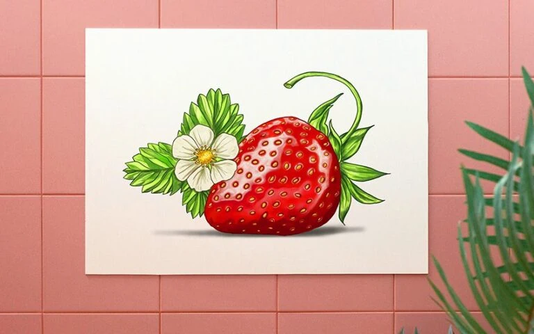 Erdbeere zeichnen – In 14 Schritten zur Erdbeerzeichnung