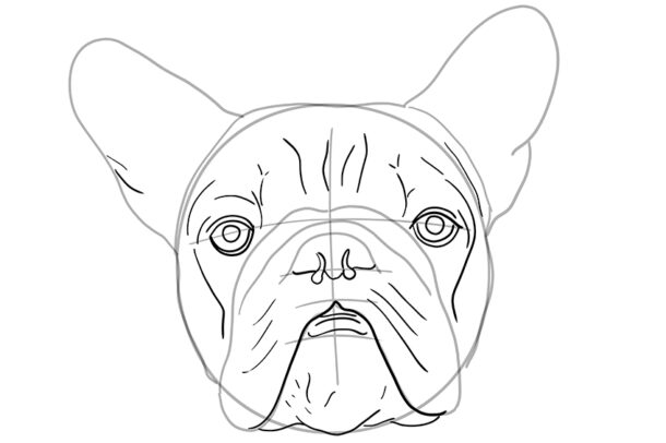 Hundekopf Zeichnen: Kreative Ausmalbilder für Groß und Klein – Kostenlos zum Download!