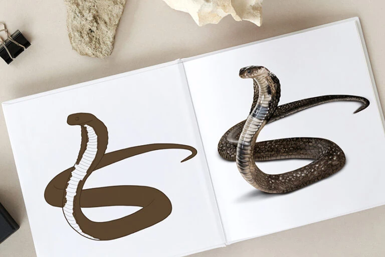 Schlange zeichnen – Lerne das Malen einer realistischen Kobra