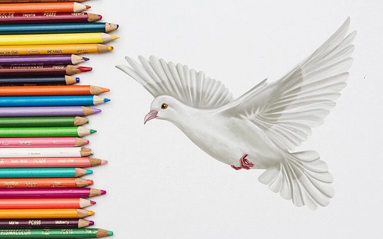 Taube zeichnen – Male eine schöne Friedenstaube