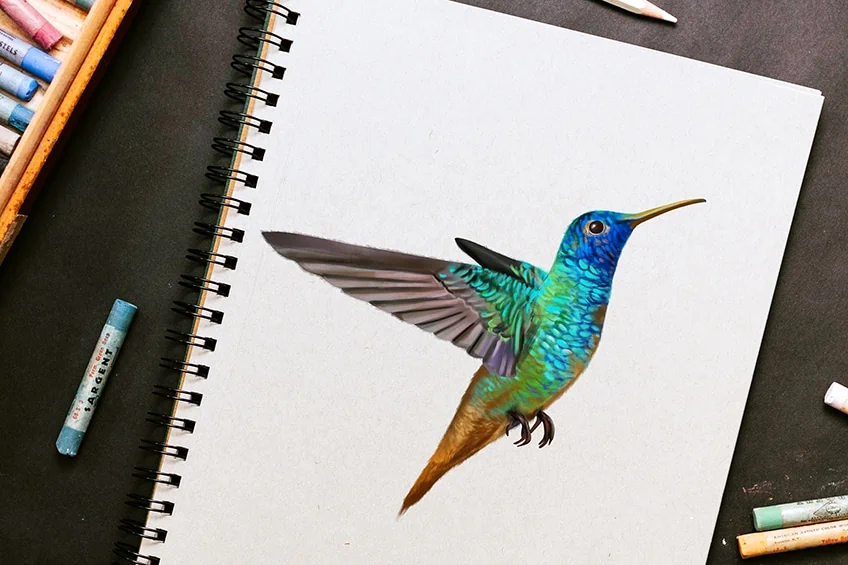 kolibri zeichnen
