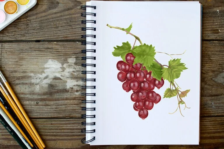 Trauben zeichnen – Lerne realistische Weintrauben zu malen