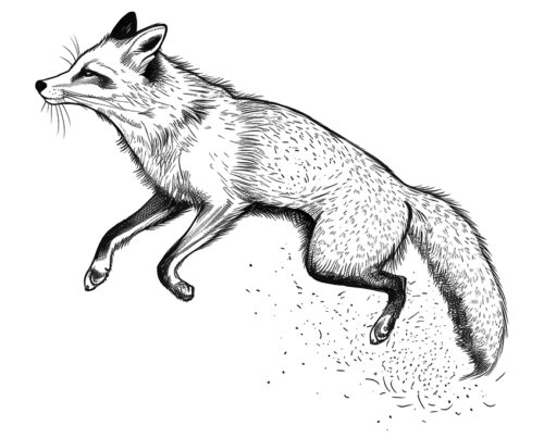 Ausmalbilder-Fieber: Entdecke die Freude am Malen – Kostenlos!