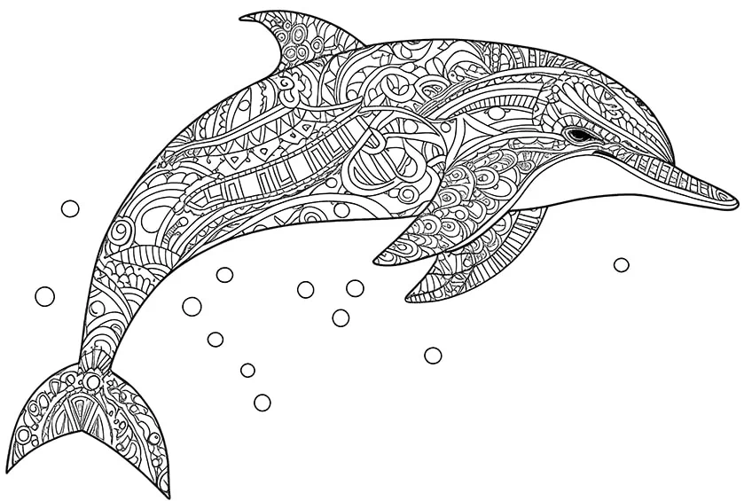 delfin ausmalbild 12