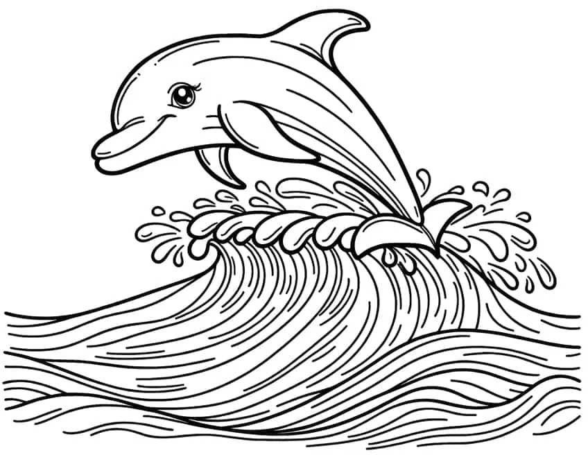 delfin malvorlage 08