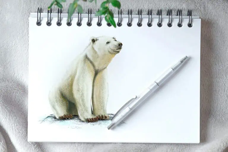Eisbär zeichnen – Schritt-für Schritt Anleitung