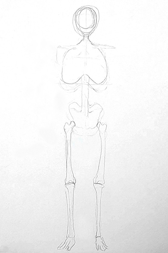 skelett zeichnen 03