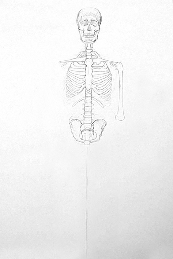 skelett zeichnen 04