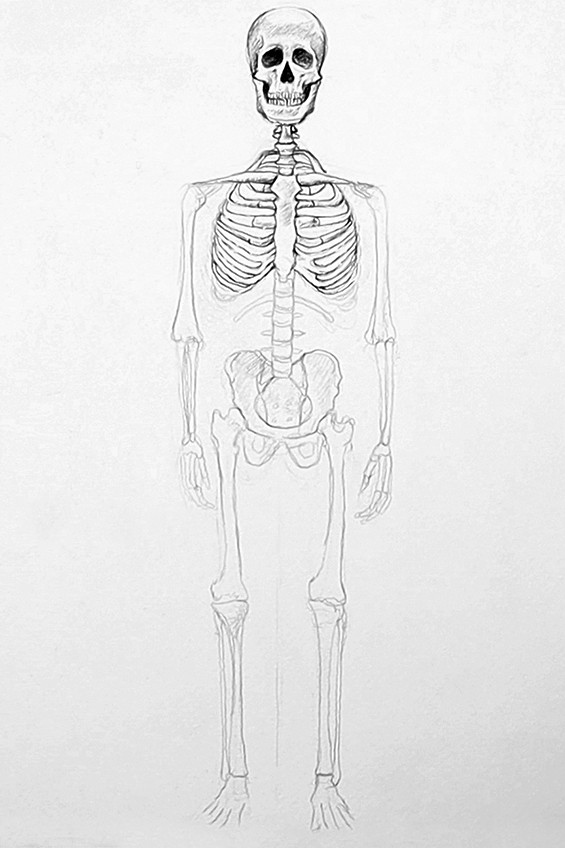skelett zeichnen 08