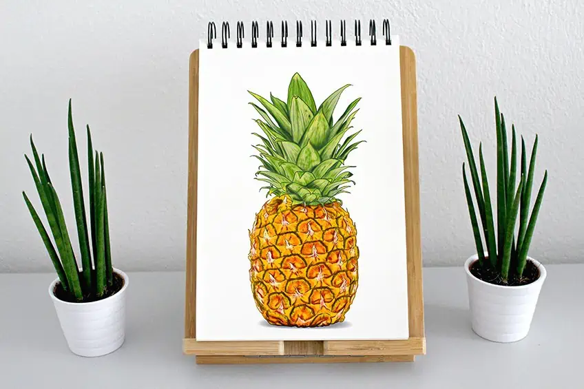 Ananas zeichnen