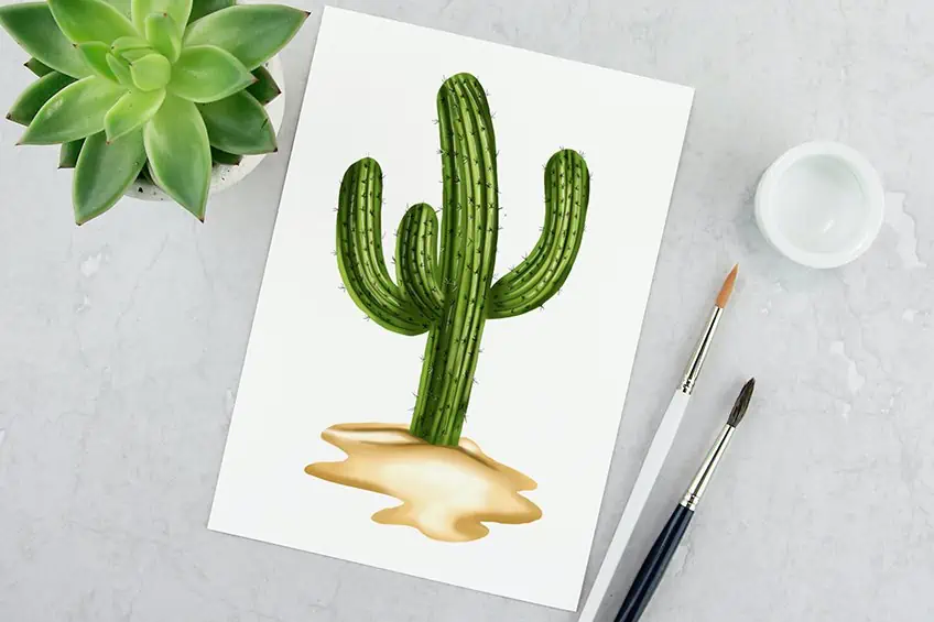 kaktus zeichnen
