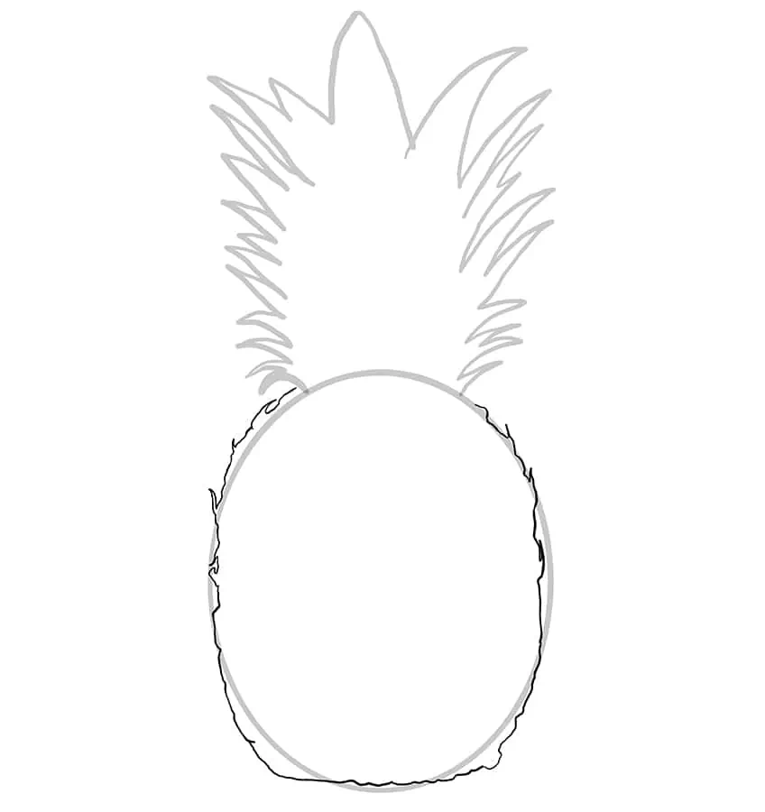 Pineapple Drawing 3