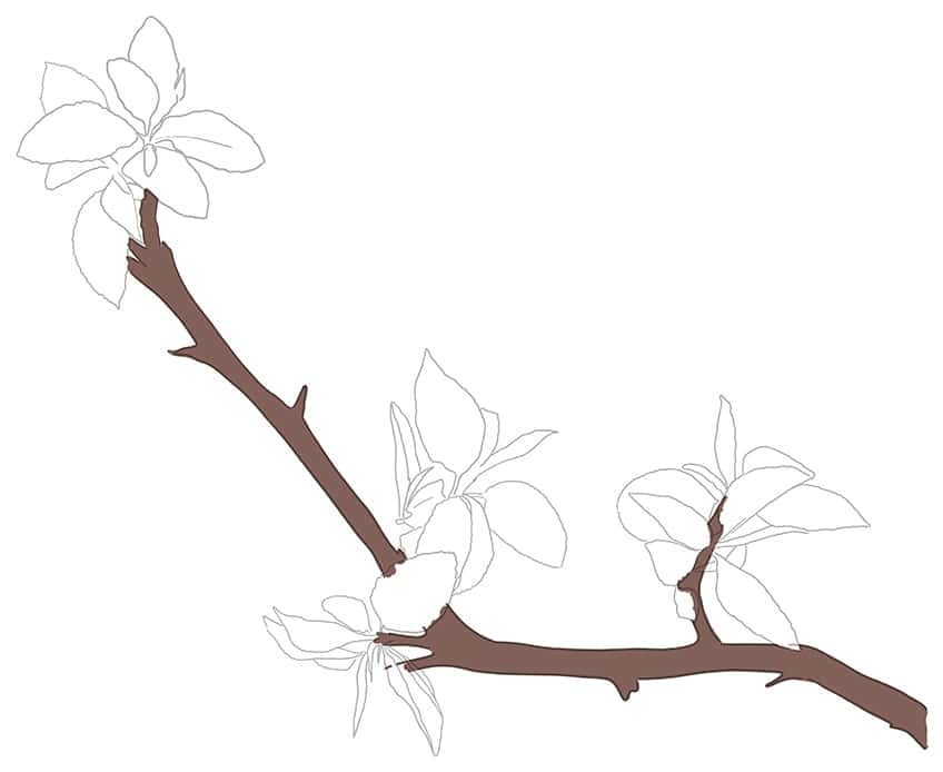 Tree Branch drawing 05