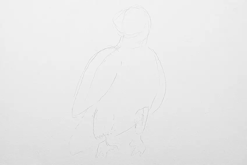 eagle drawing 02