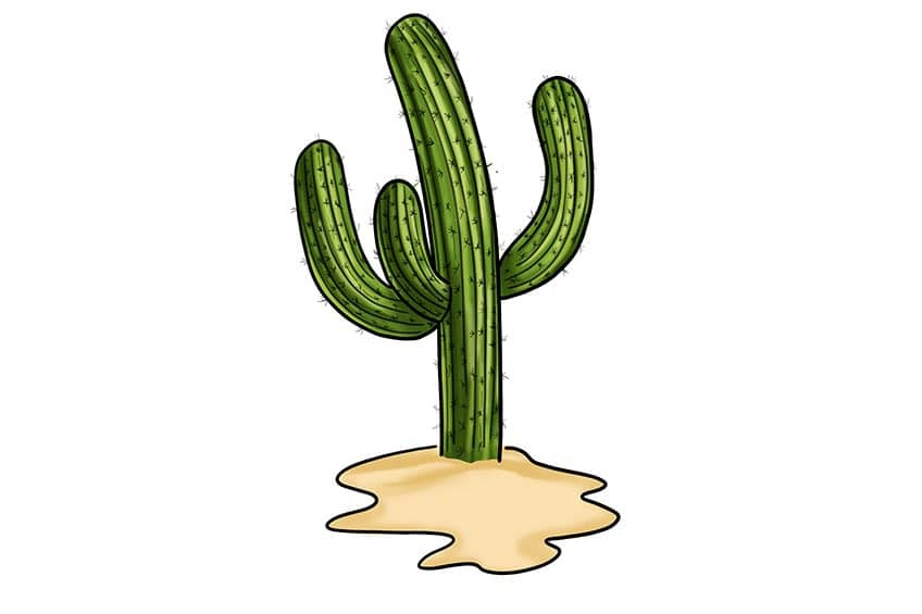 einfache Kaktuszeichnung