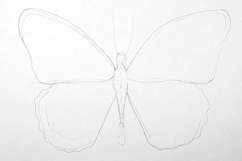 monarch butterfly drawing 04